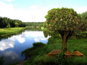 tree-word-river-22